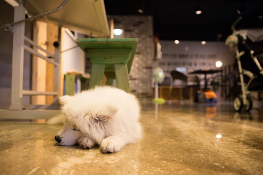 Suncheon Guesthouse Nreem Esterno foto